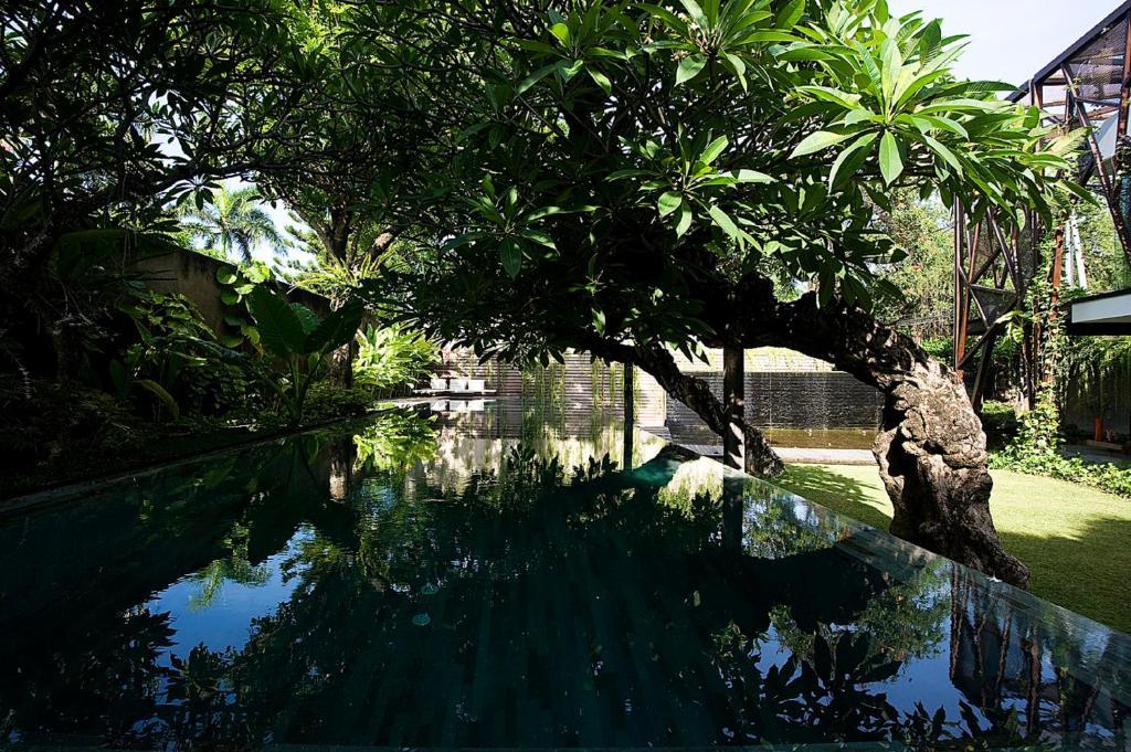 Ziva A Residence Seminyak  Exterior photo