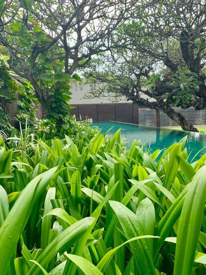 Ziva A Residence Seminyak  Exterior photo